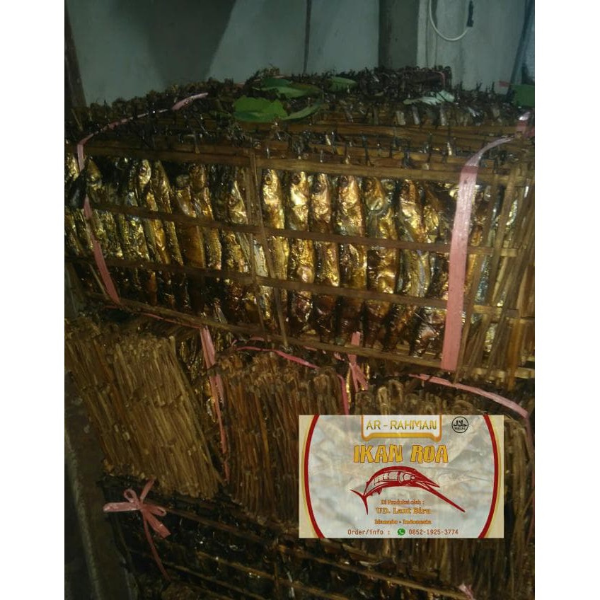 

Ikan Roa Utuh Jual Kiloan