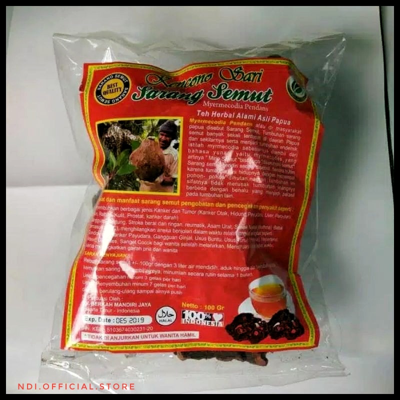 Sarang Semut Asli Papua (kencono sari)