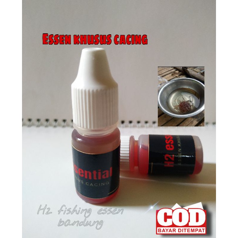 Essen cacing nila/mujaer essen oplosan