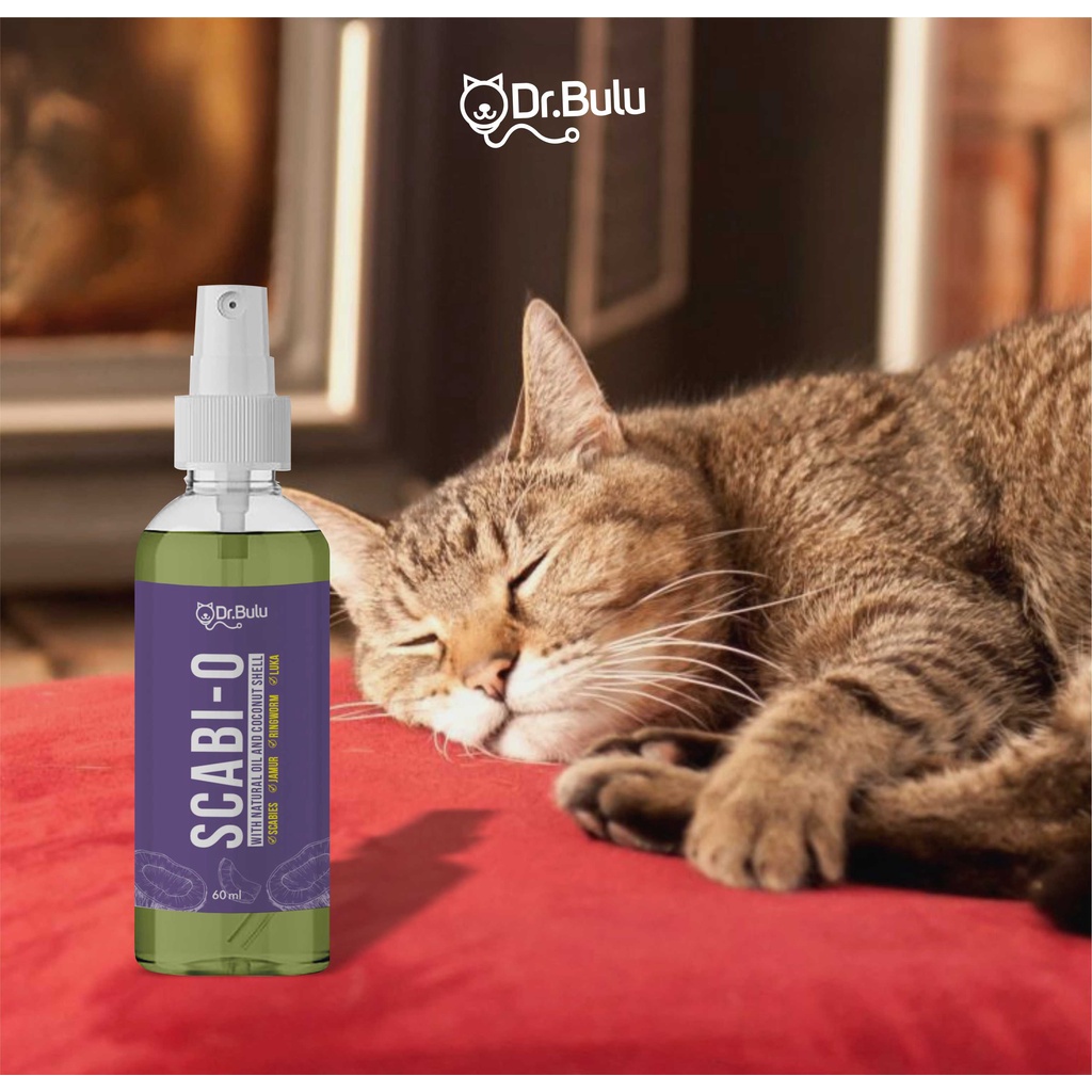 Dr.Bulu - Scabio Serum Antiseptik Alami - Pembasmi Jamur &amp; Scabies Kucing, Pengering Luka Kucing
