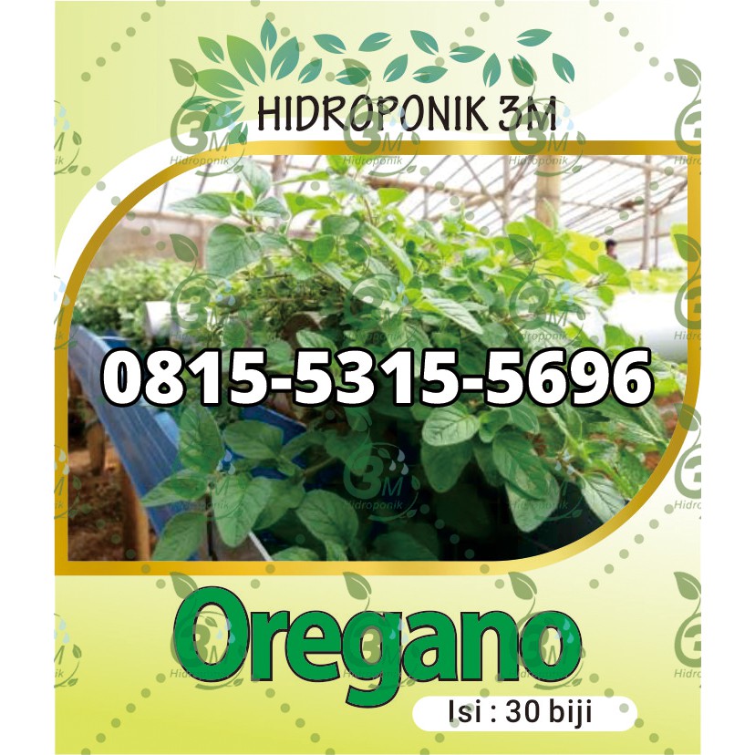 Benih - Oregano - Repack