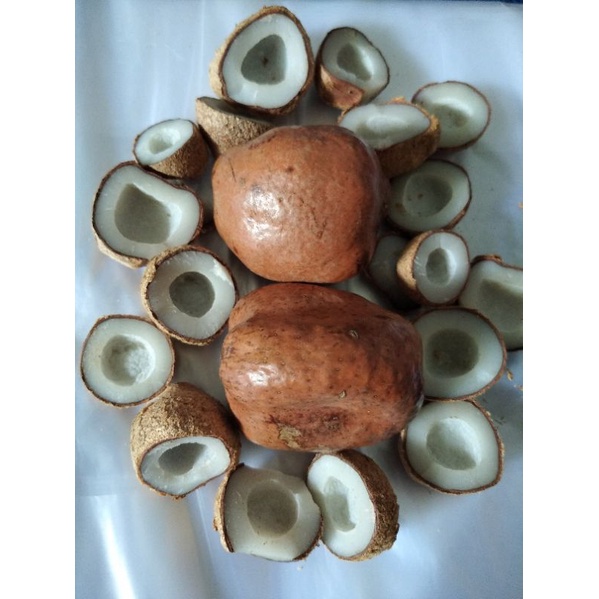 

buah zuriat 1kg