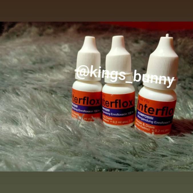 Obat flu kelinci / interflox murah