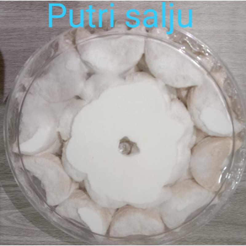 

Putri Salju