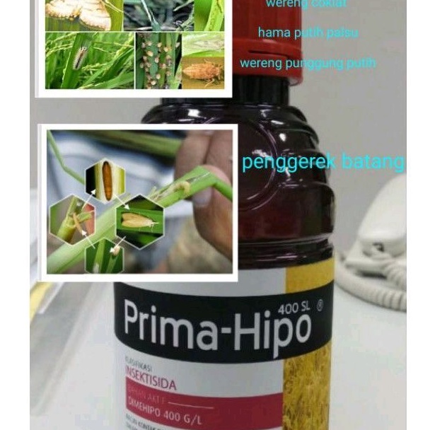 Prima-Hipo 400 SL-1 Liter (insektisida) Pengendali penggerek Batang, Putih palsu &amp; Wereng