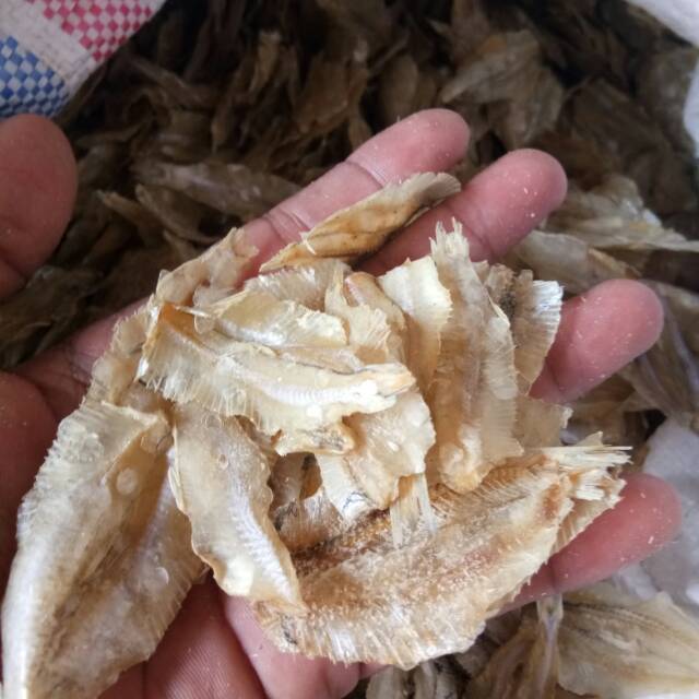 

Pakang Asin/ikan kerupuk 1kg