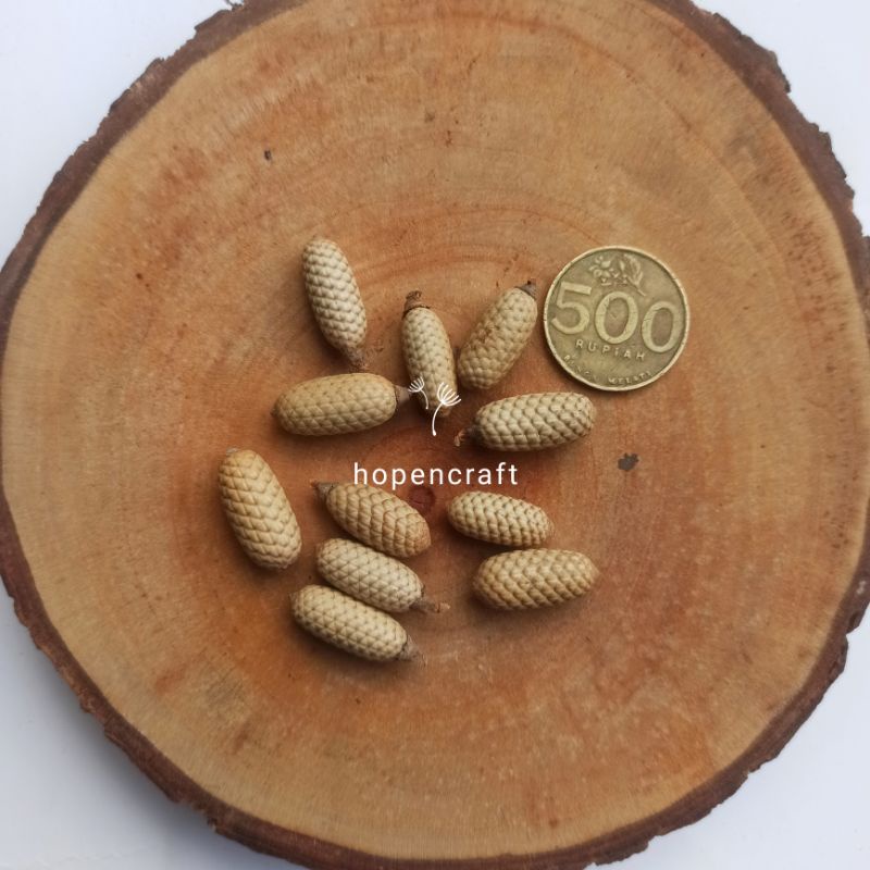 [10 pcs] Biji Rotan Lonjong | Rotan Kapsul Kering