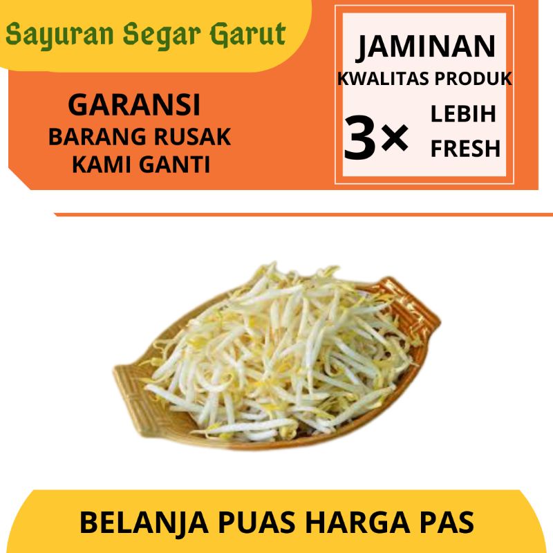 

Sayur Toge Tauge Kecambah Lokal Panjang Pendek Super Segar Fresh 250gr by Sayuran Segar Garut