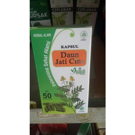 

Daun jati Cina