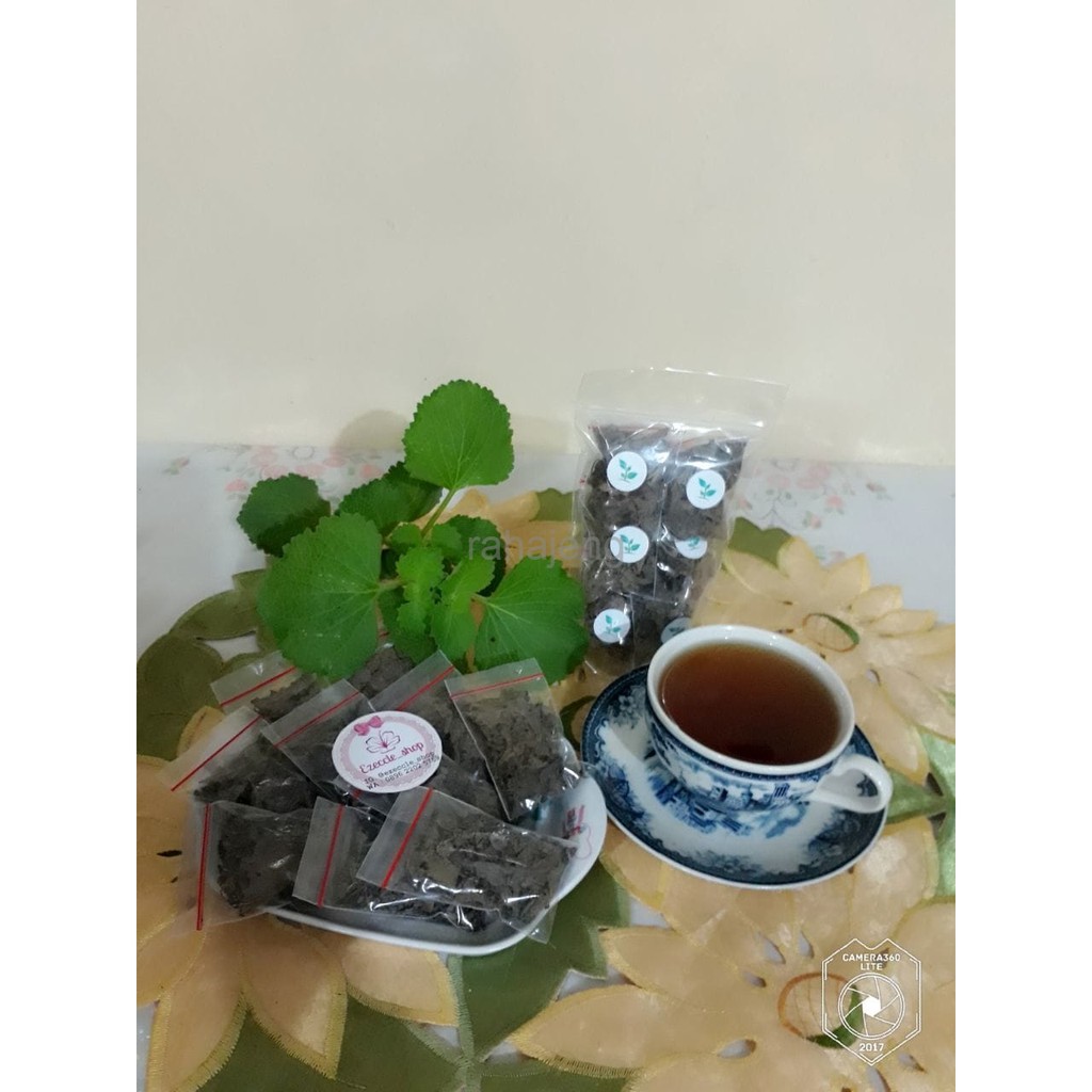 

Teh Daun Bangun-Bangun (ASI Booster Alami)