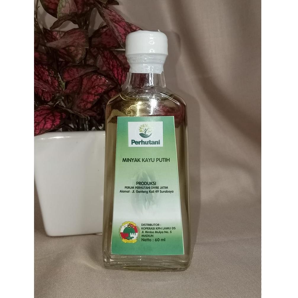 [SikQK5436] Minyak Kayu Putih Perhutani 60 ML Asli Sukun Ponorogo- FREE PACKING BUBBLE WRAP