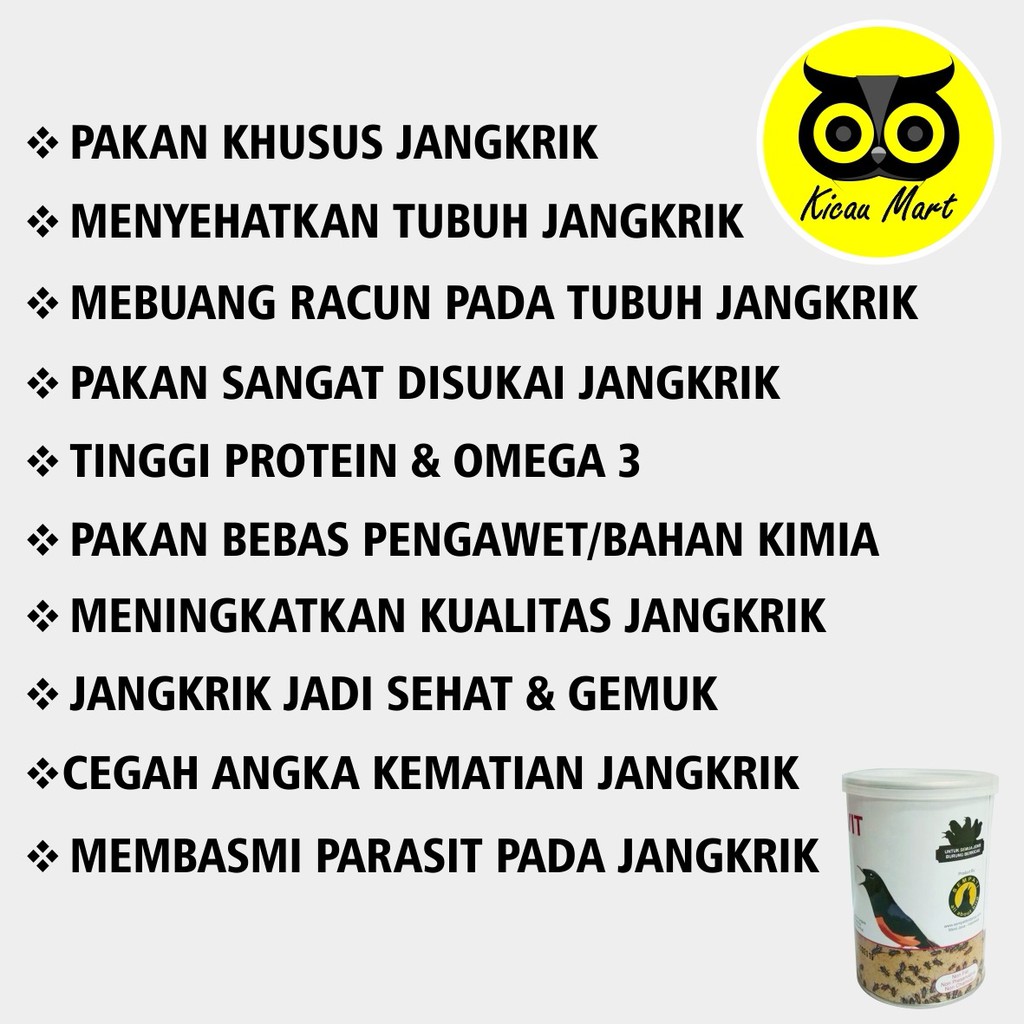 PAKAN TERNAK MAKANAN KHUSUS JANGKRIK VIT SEMPATI SEBELUM DIBERI KE BURUNG MURAI KACER CUCAK CRHJANG