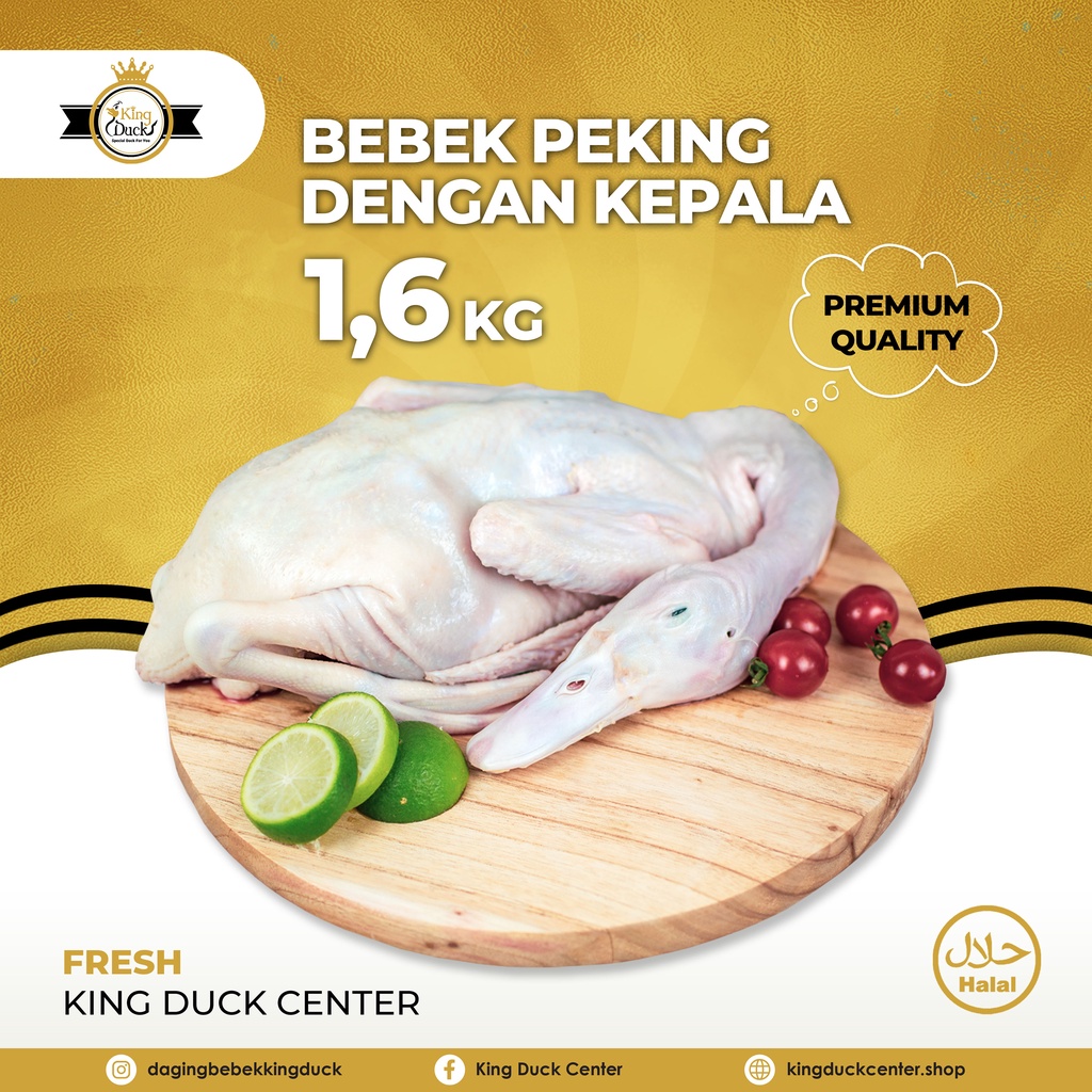 

BEBEK PEKING / DAGING BEBEK 1.6 KG