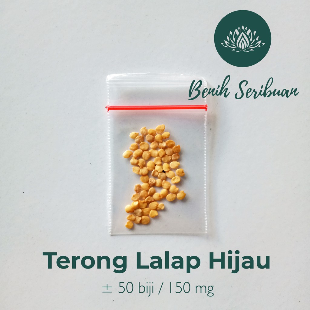 50 Bibit Terong Lalap Hijau Bulat Kenari Sayuran Unggul Berkualitas - Bibit Tanaman Sayur Seribuan