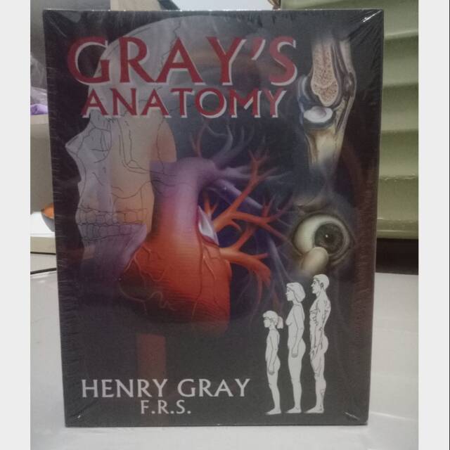 Gray's Anatomy Buku Kedokteran - Buku Anatomi