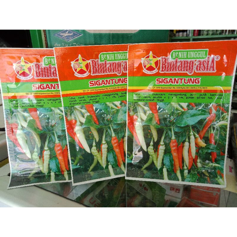 BENIH CABE SIGANTUNG 10gr/BENIH CABE RAWIT BINTANG ASIA/BENIH UNGGUL