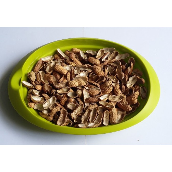 Simplisia Kulit Kacang Tanah Kering Best Quality 1 Kg