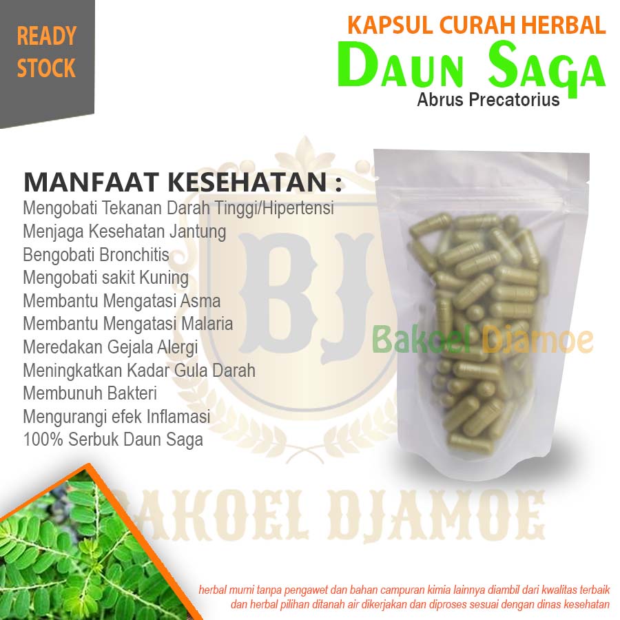 

Kapsul curah herbal daun saga kapsul herbal asma sakit kuning alergi hipertensi mata