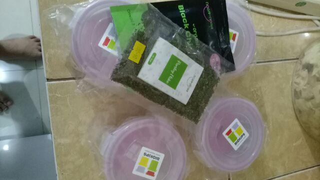 Komax Biokips Pink Bulat 240 Ml Air & Water Tight