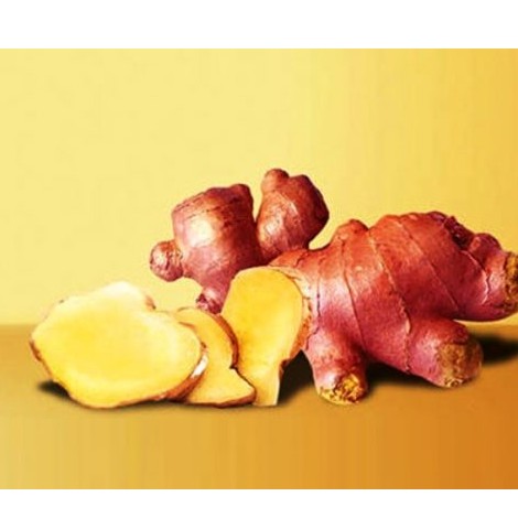 

Jahe Merah 500gr By Sembakoe