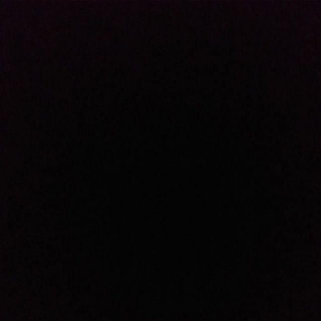 Daun Bidara Arab Ruqiah