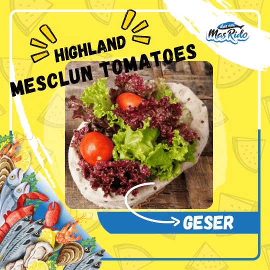 

Mesclun With Tomatoes Organik Highland Premium Fresh Vegetables