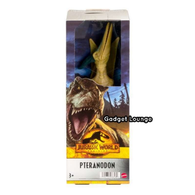 Mattel Jurassic World Dominion Basic 12 inch Dinosaurus Figure : Pteranodon