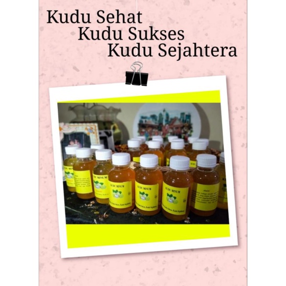 

Kudu Minum