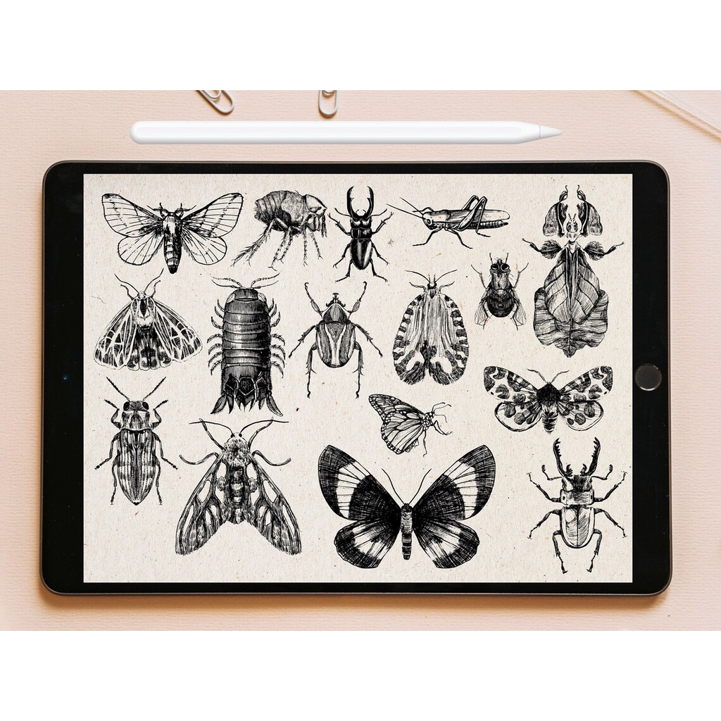 Procreate Brush - Insect Stamp Brushes for Procreate