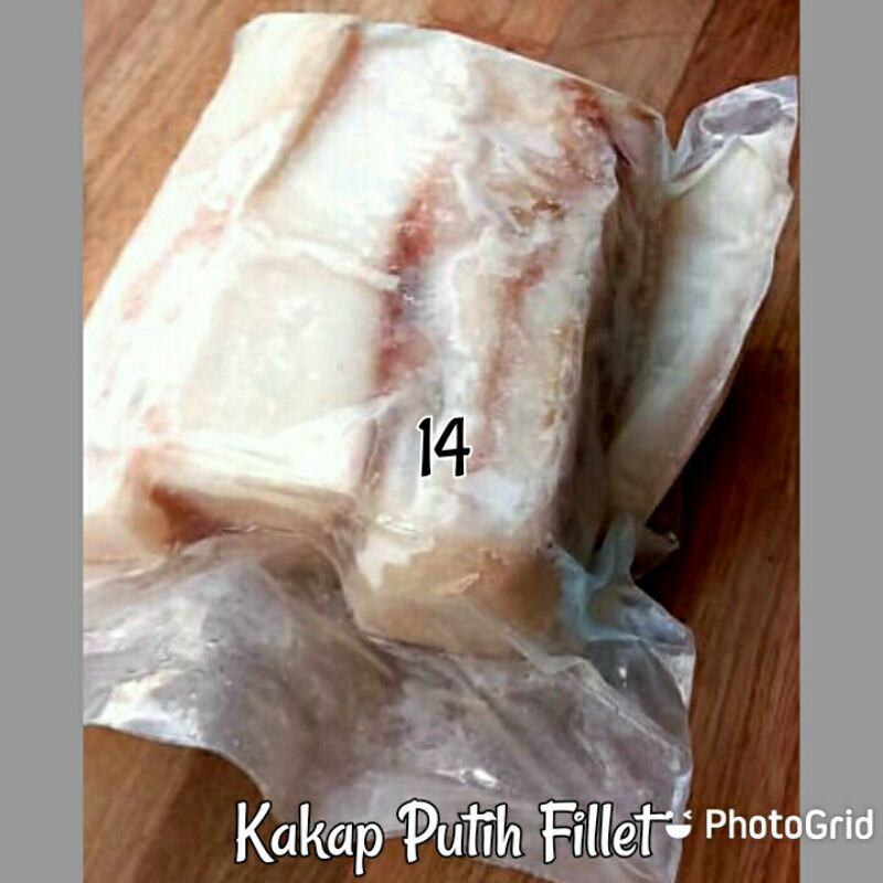 Kakap Putih Fillet 1 Kg