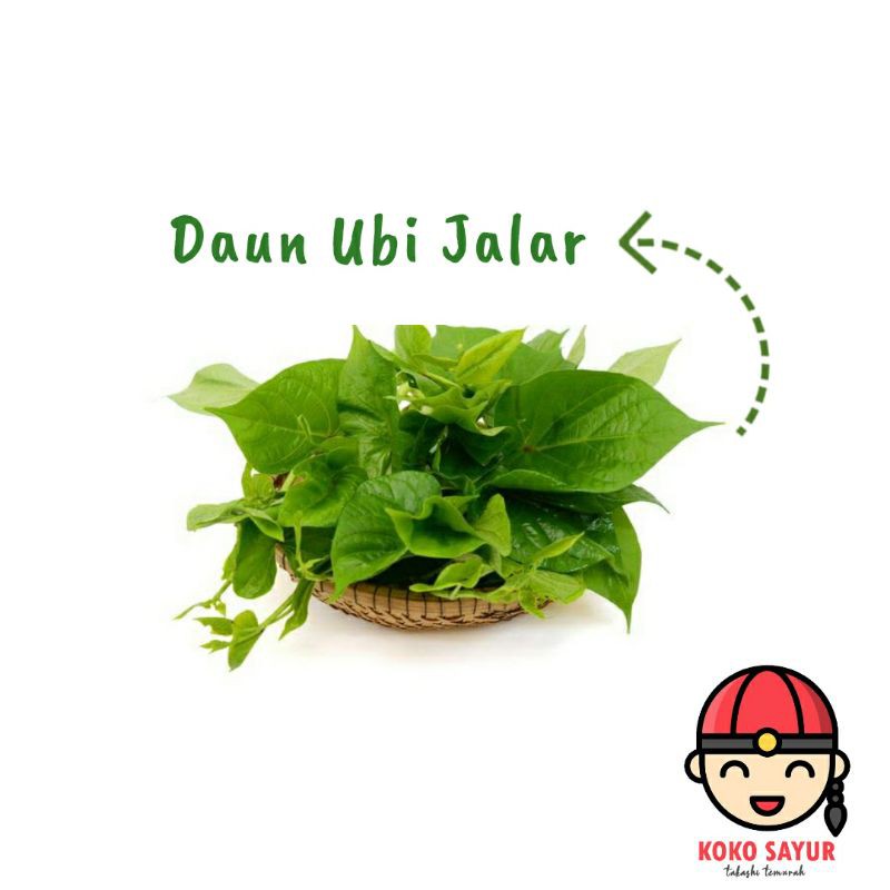 

[SAYUR EMAK] DAUN UBI JALAR / KETÉLA / GODHONG TELO PER IKAT / SAYUR SEGAR