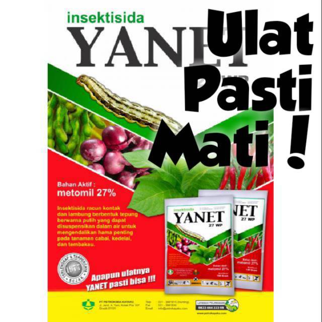 Pembasmi hama ulat dan kupu putih Insektisida Yanet 27 WP 100 gr