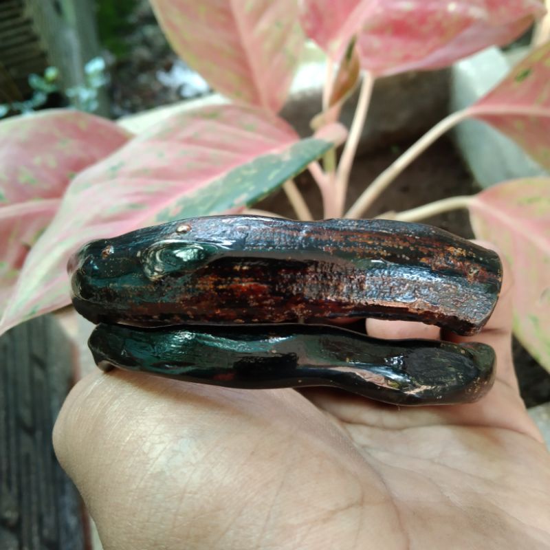 gelang akar bahar hitam jumbo asli
