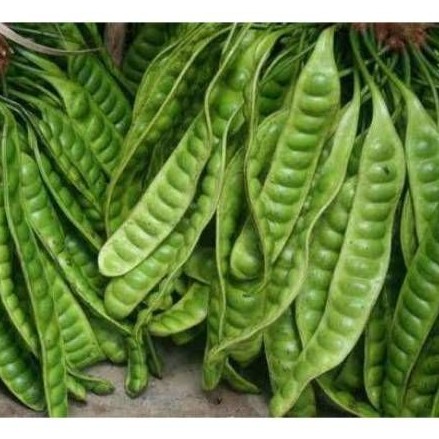 

Pete/ Petai Segar/ Pete per Papan / Sayur Pete / Petai Lalap