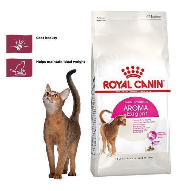 ROYAL CANIN AROMA EXIGENT 400 GRAM AROMATIC ATTRACTION