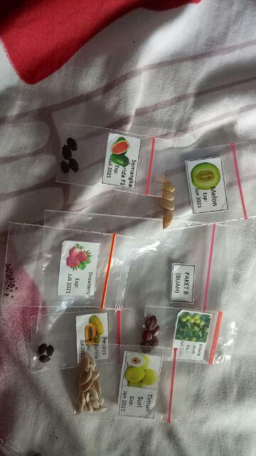 Paket Buah - Paket Hemat 6 Jenis Benih Unggul Buah Buahan