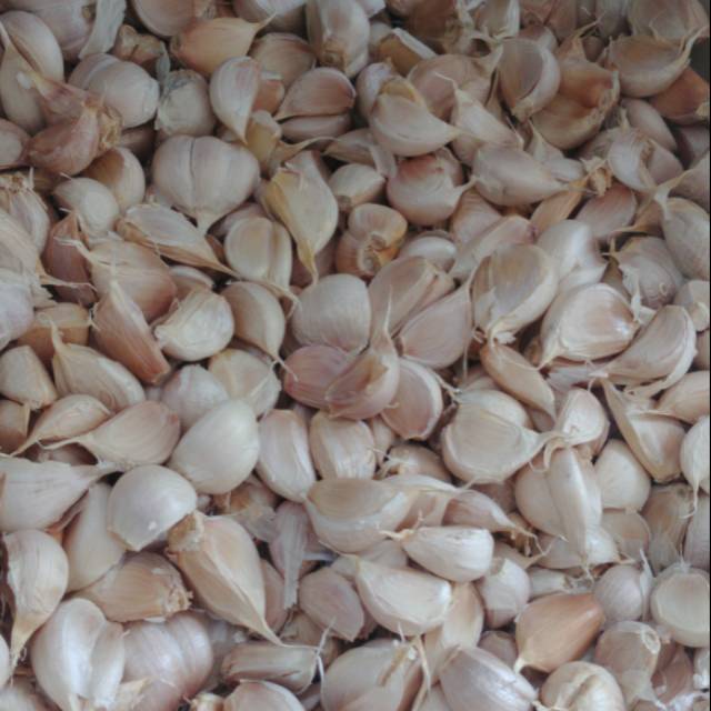 

Bawang Putih Kating 1/2 KG