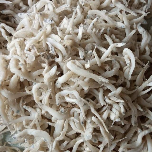 

Teri Nasi ENI Air Nyatoh