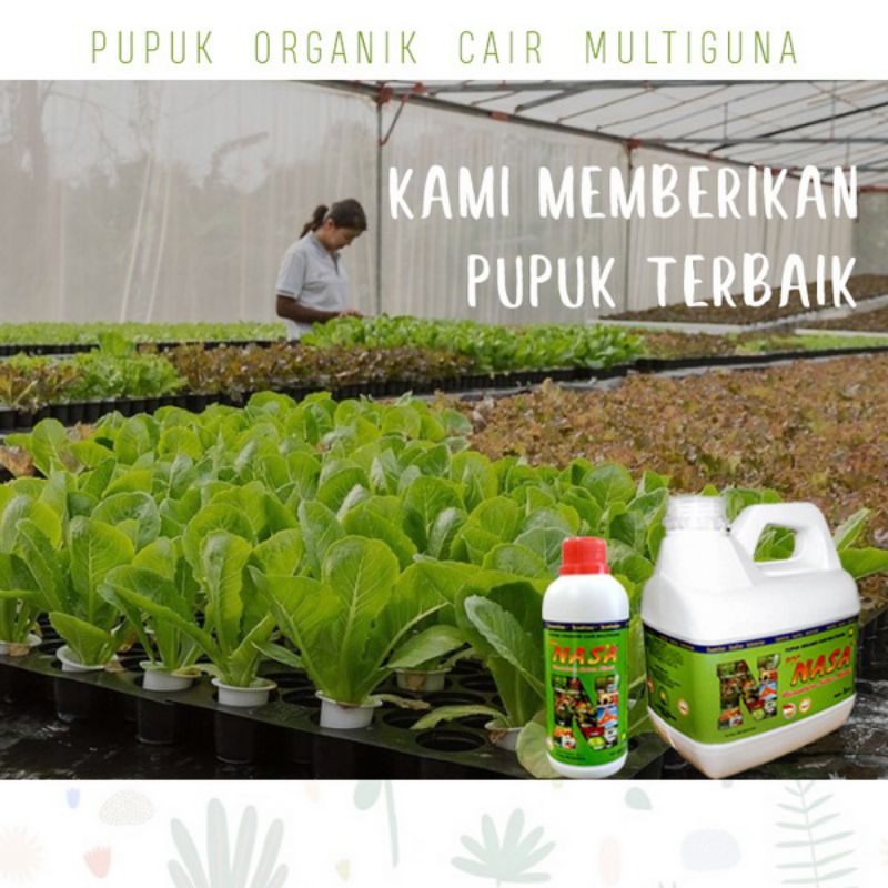 PUPUK POC NASA 1 PAKET 3 LITER BONUS PUPUK NASA 500 ml