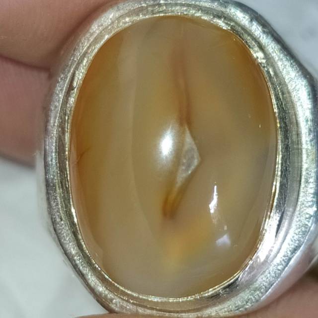 Natural combong bisa serambut tembus