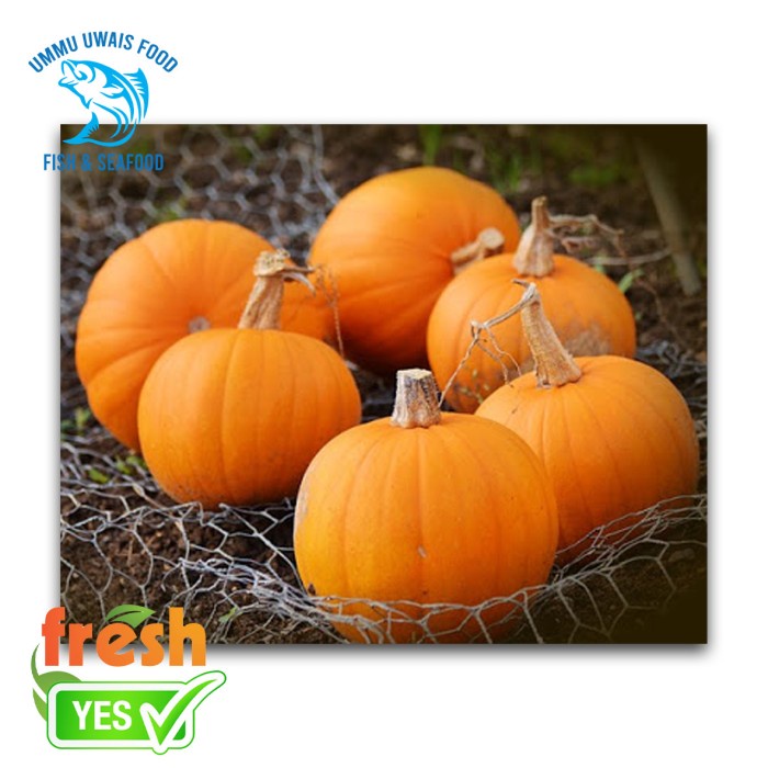 

Labu Kabocha Segar - 1 Pcs