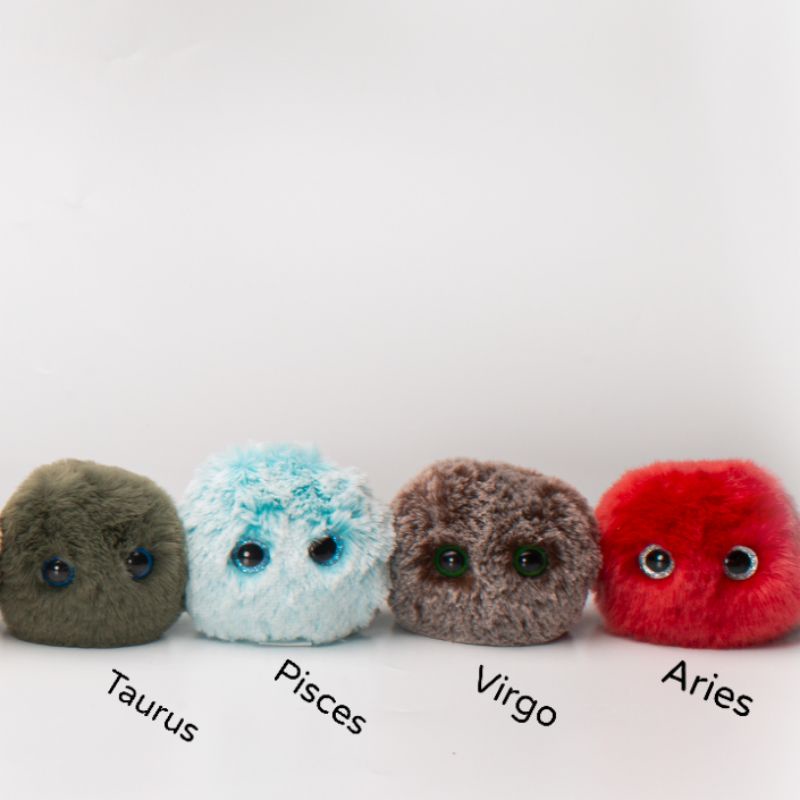 Worry pet Vol. 05  ZODIAC series - Sensory toy for mental health anxiety buddy - Fidget - Stress ball