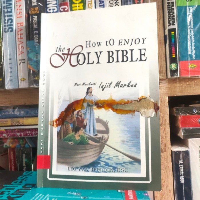 how to enjoy the holy bible