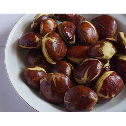 

Jengkol Tua 500 Gr