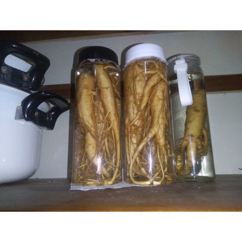 

ginseng,merah korea+botol,600ml ISi Besar(COD)