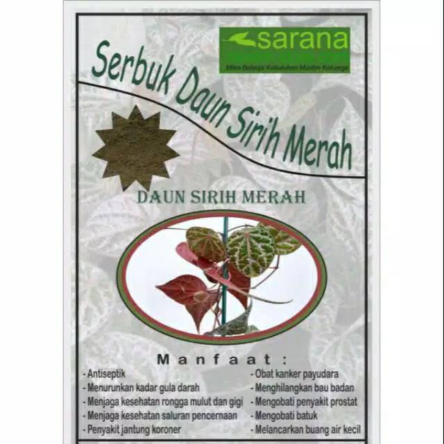 

Serbuk Bubuk Daun Sirih Merah Kemasan 250gr Asli Atasi Berbagai Penyakit !