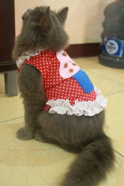 Baju katun merah polkadot cupcake untuk kucing/anjing (baju kucing murah size S M L XL)