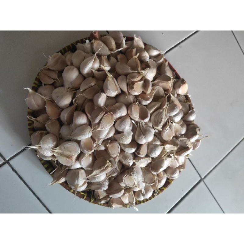 

Bawangputih_kating