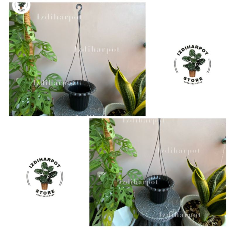 pot bunga tanaman gantung mawar warna hitam 20cm - HITAM ORIGINAL