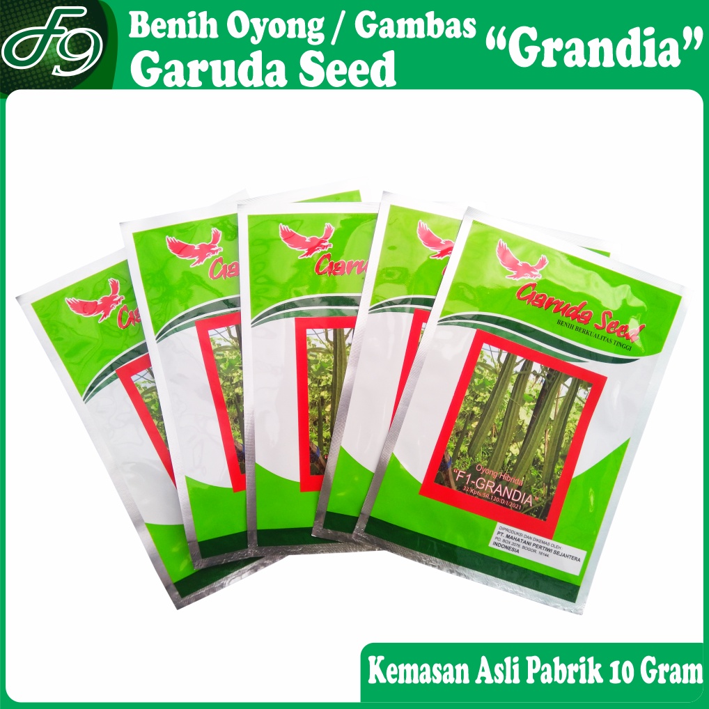 Benih Gambas Oyong Unggul F1 Grandia Garuda Seed Kemasan Pabrik 10 Gram